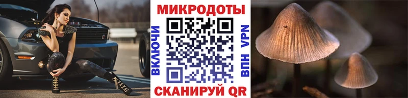 Галлюциногенные грибы Magic Shrooms  Купить закладки  Сертолово 